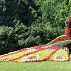 Insel Mainau