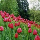 Insel Mainau 4