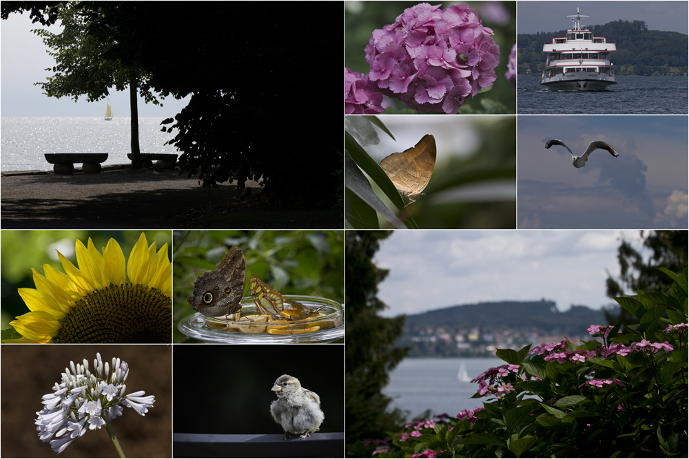 Insel Mainau