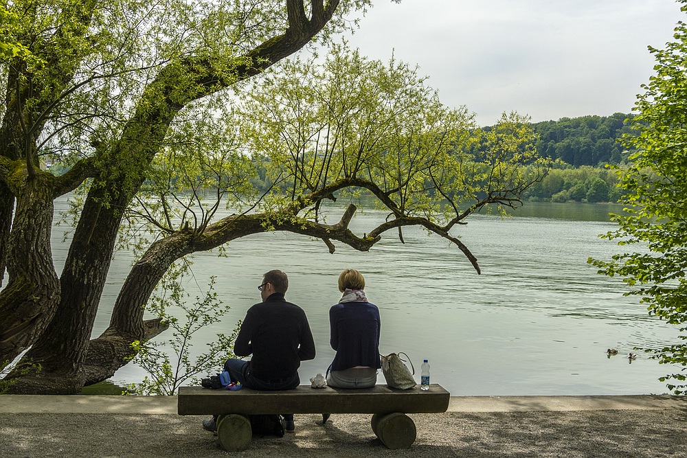 Insel Mainau