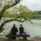 Insel Mainau