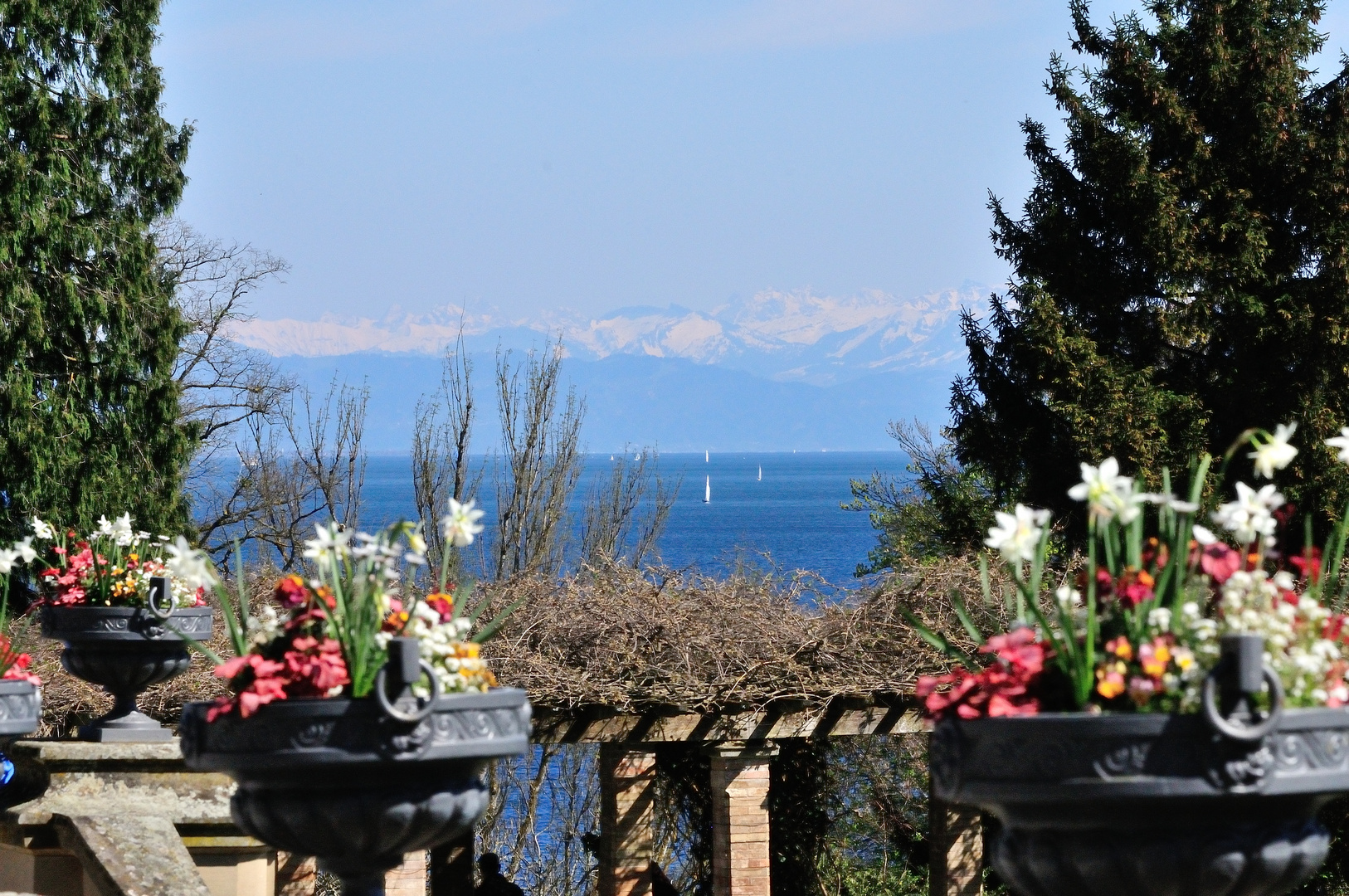 Insel Mainau