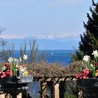 Insel Mainau