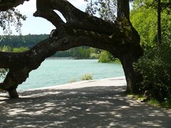 Insel Mainau??