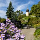 Insel Mainau