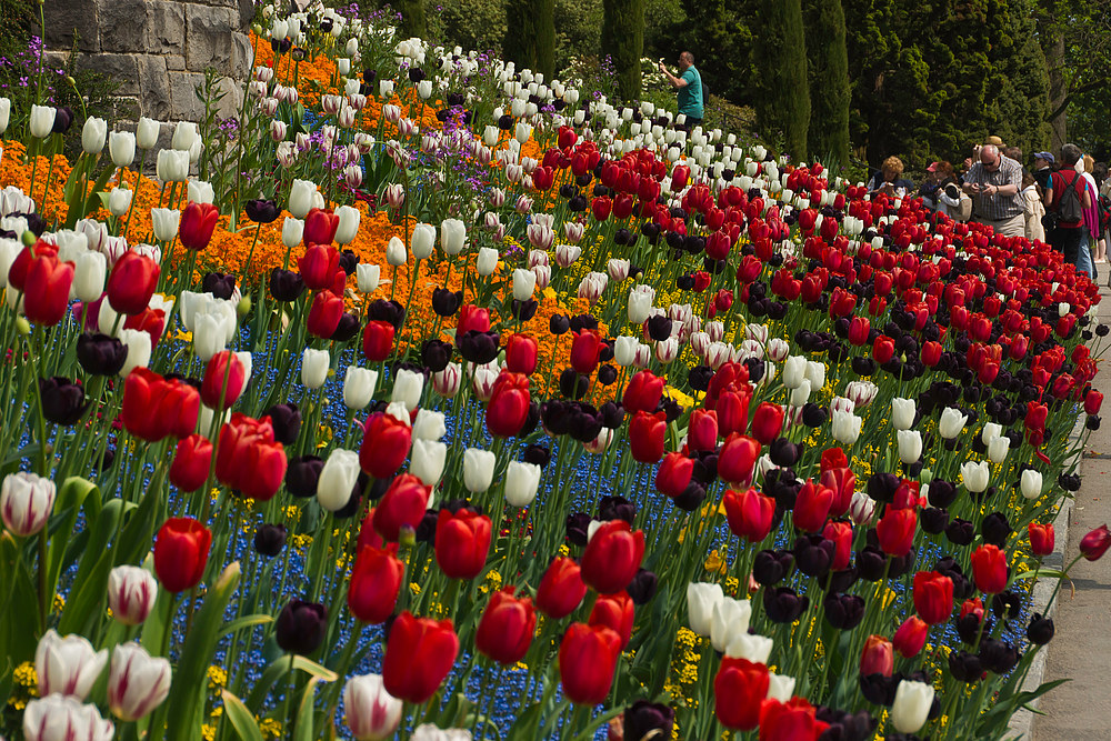 Insel Mainau