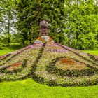 Insel Mainau am  Bodensee