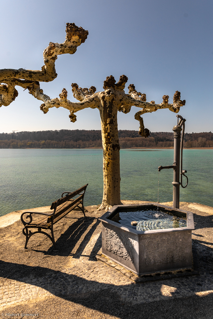 Insel Mainau - Augenblicke der Ruhe