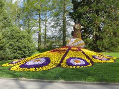 Insel Mainau / Blumenpfau