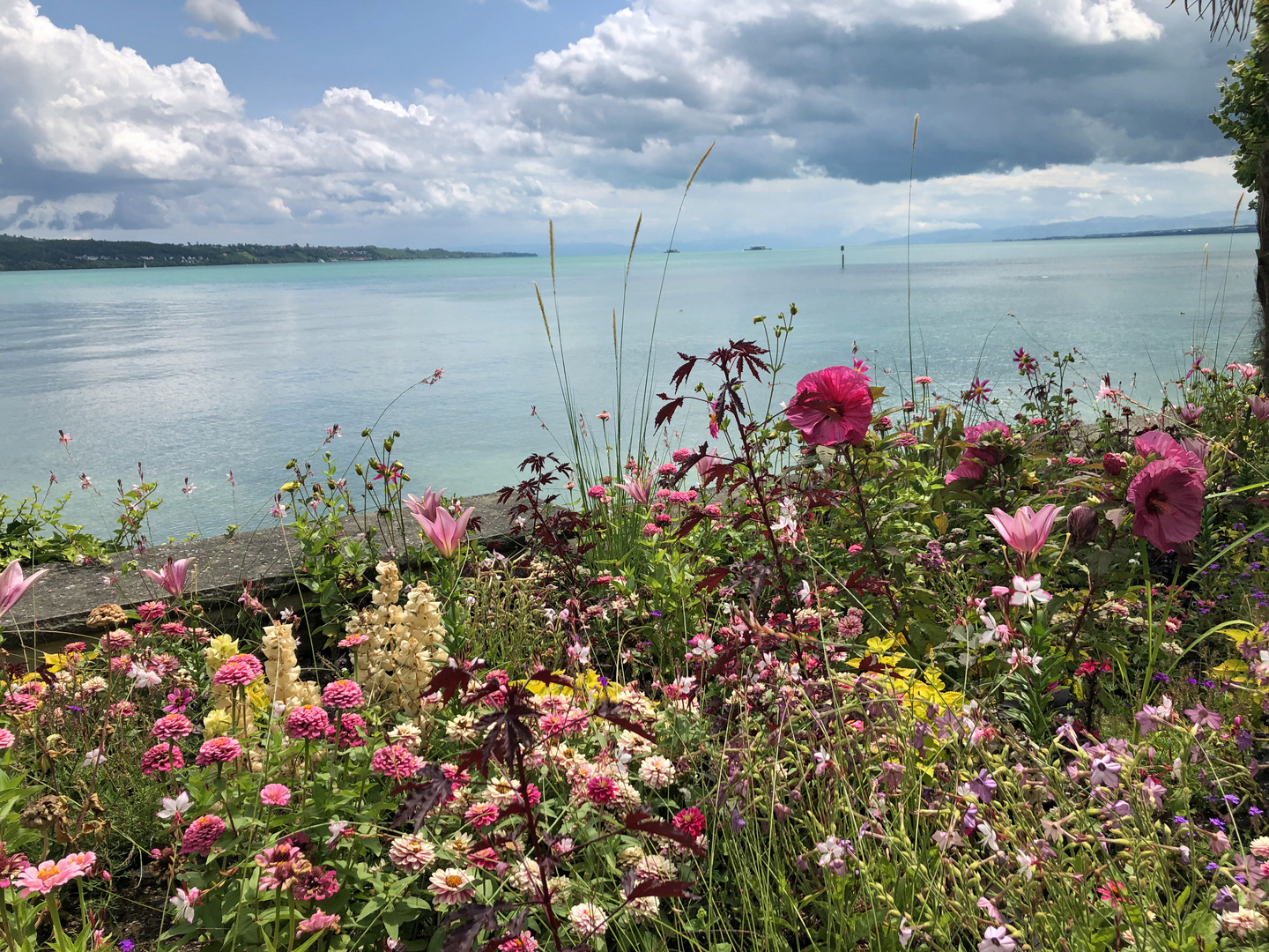 Insel Mainau, Bodensee