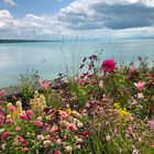 Insel Mainau, Bodensee