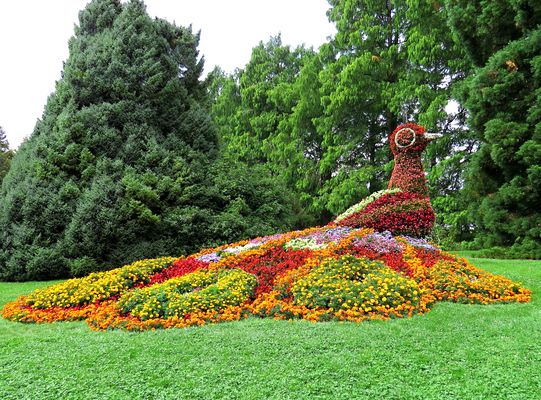 Insel Mainau - Bodensee