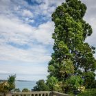 Insel Mainau - Bodensee