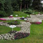 Insel Mainau Bodensee in Form von Blumenarrangement