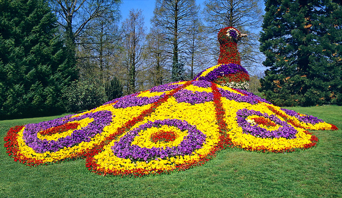 Insel Mainau