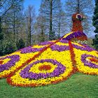 Insel Mainau