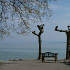 Insel Mainau