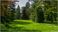 Insel Mainau - der Park