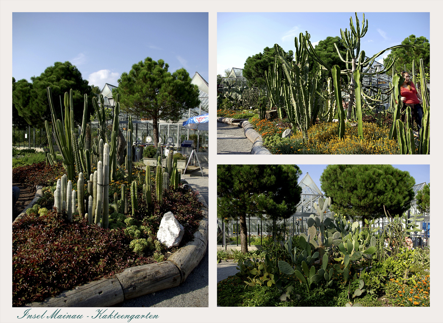 ...Insel Mainau