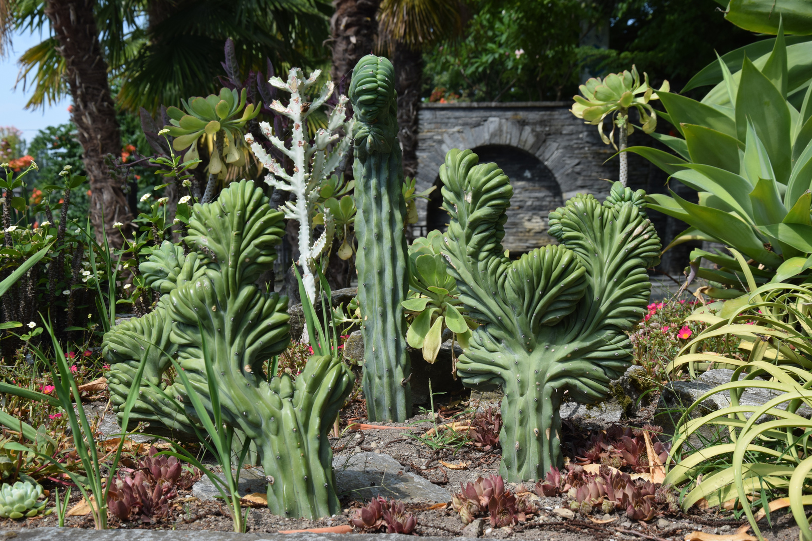 Insel Mainau