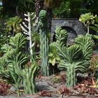 Insel Mainau