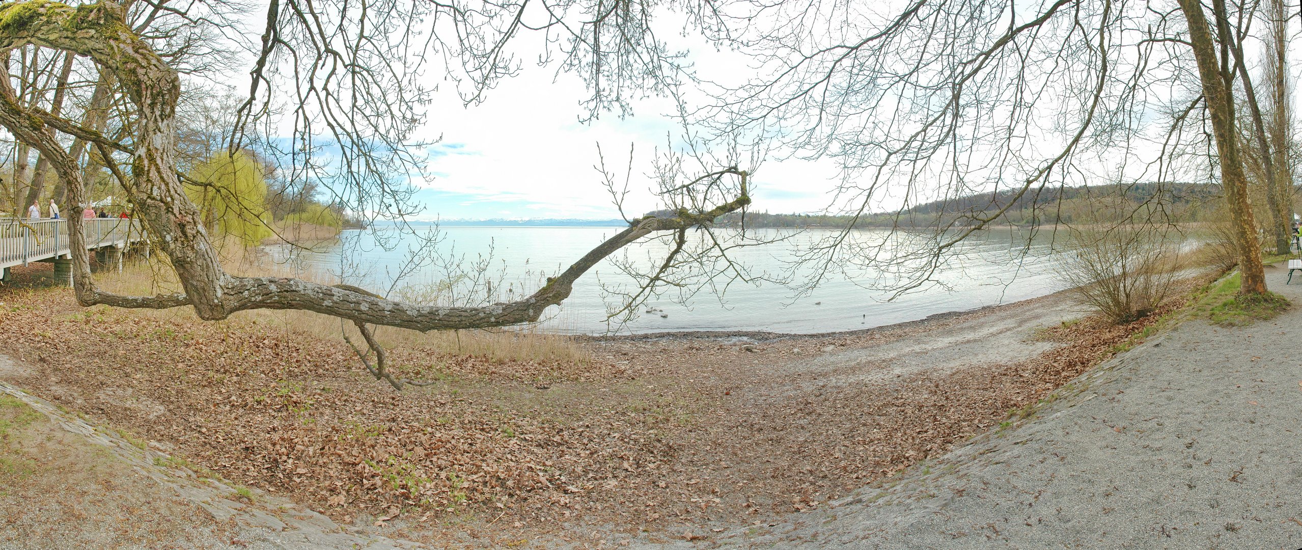 Insel Mainau II