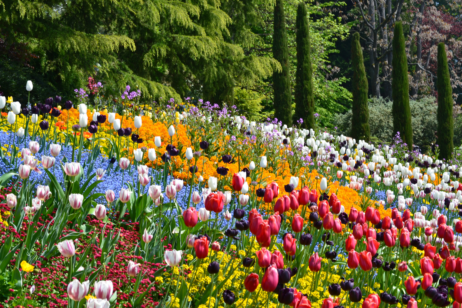 Insel Mainau ~ II