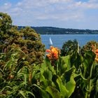 Insel Mainau im Bodensee