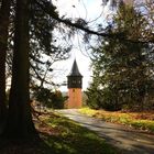 Insel Mainau im Herbst