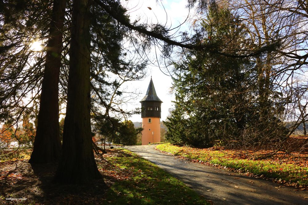 Insel Mainau im Herbst