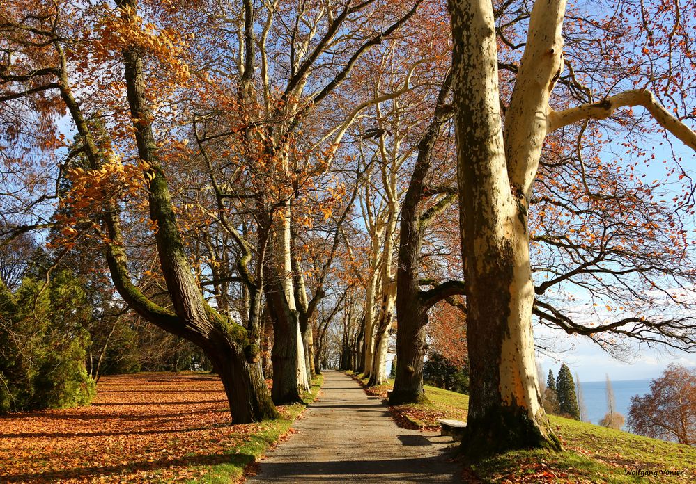 Insel Mainau im Herbst