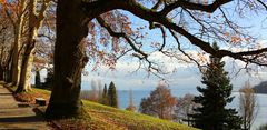 Insel Mainau im Herbst