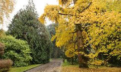 Insel Mainau im Herbst