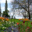 Insel Mainau im Mai