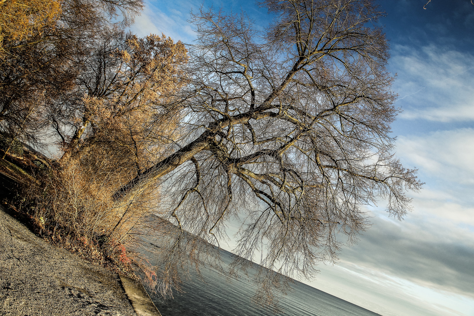 Insel Mainau im November