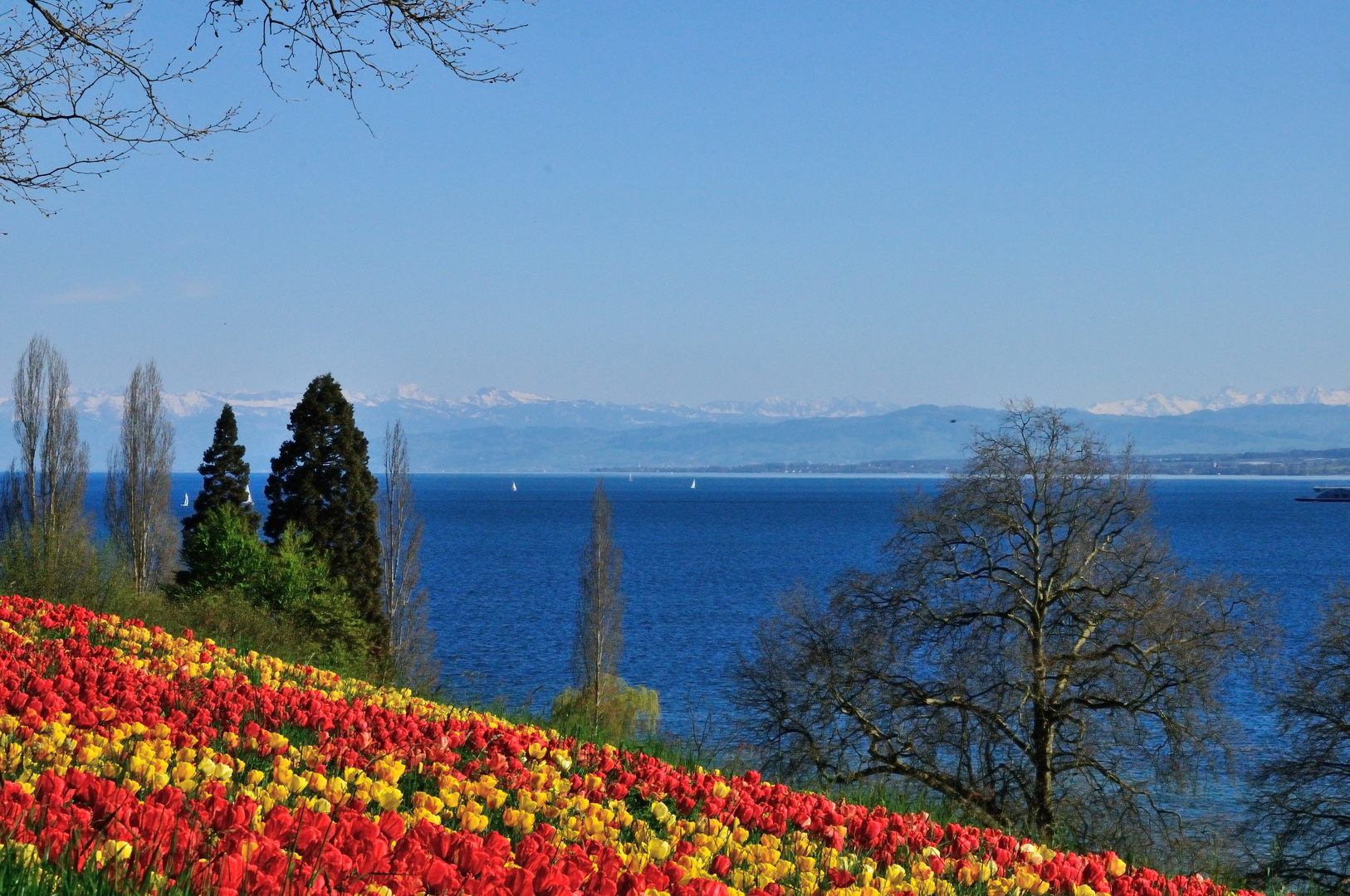 Insel Mainau Im Sonnenschein