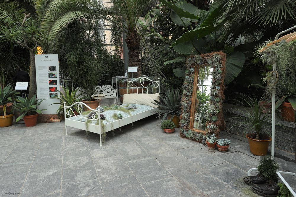 Insel Mainau mit der Kakteen Ausstellung im Palmenhaus Foto & Bild