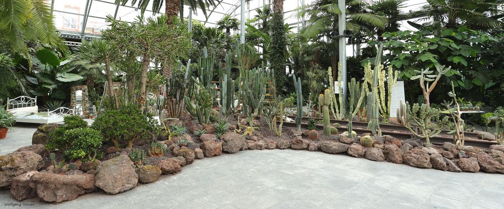 Insel Mainau mit der Kakteen Ausstellung im Palmenhaus