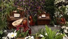 Insel Mainau-Orchideen Schau 2022