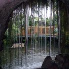 Insel Mainau/ Schmetterlingshaus