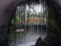 Insel Mainau/ Schmetterlingshaus