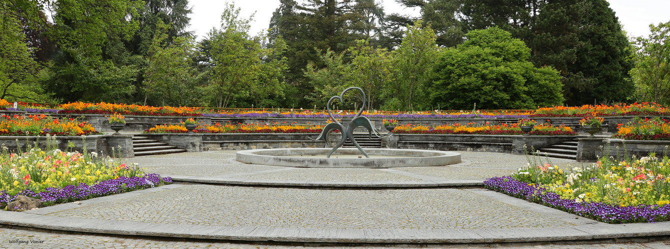 Insel Mainau - Schwanenbrunnen aktuell