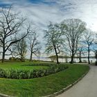 Insel Mainau VI