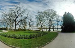 Insel Mainau VI