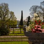 Insel Mainau_Landschaft