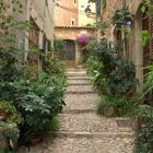 Insel Mallorca (E) -Romantische Gasse in Fornalutx-