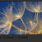 Insel Milos – Faszination Makrofotografie
