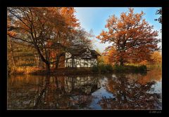 Insel mit Häuschen