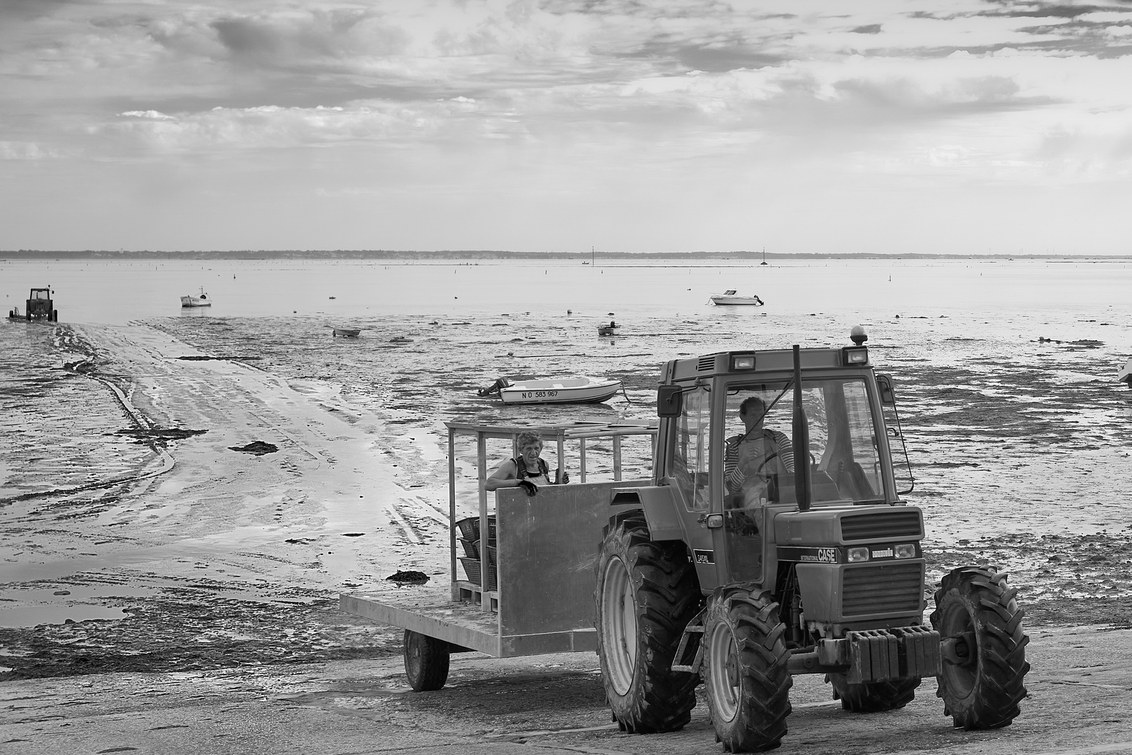 Insel Noirmoutier, Austernfischer, 1