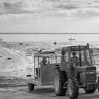 Insel Noirmoutier, Austernfischer, 1